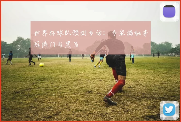 世界杯球队预测专访：专家揭秘夺冠热门与黑马