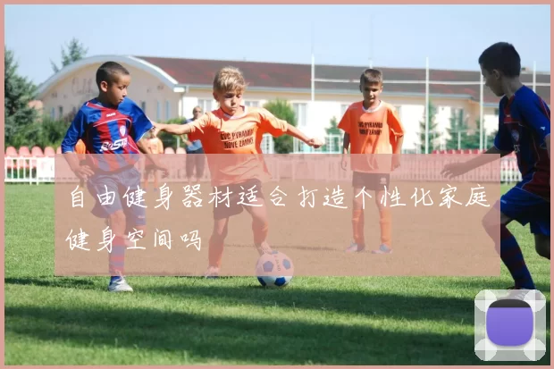 自由健身器材适合打造个性化家庭健身空间吗