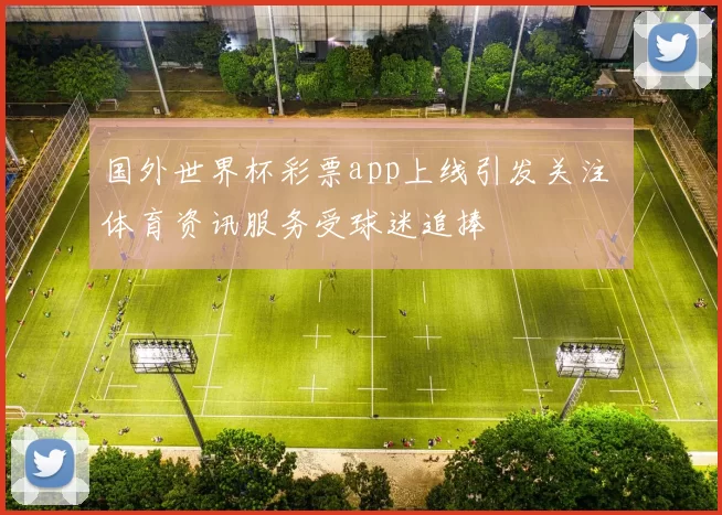 国外世界杯彩票app上线引发关注 体育资讯服务受球迷追捧