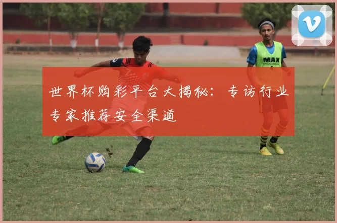 世界杯购彩平台大揭秘：专访行业专家推荐安全渠道