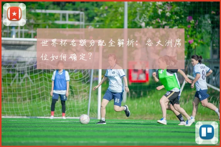 世界杯名额分配全解析:各大洲席位如何确定?