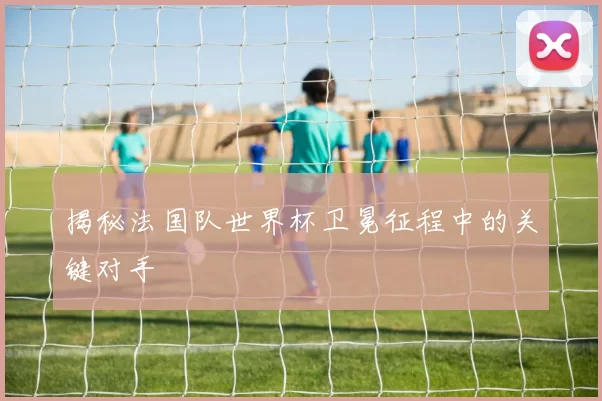 揭秘法国队世界杯卫冕征程中的关键对手