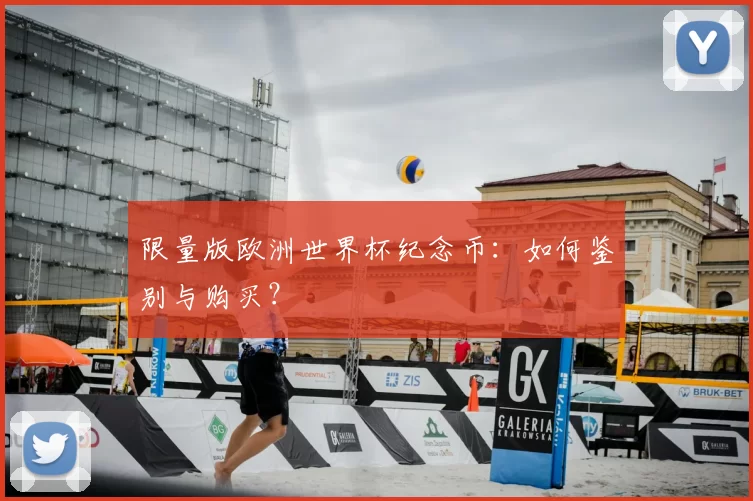 限量版欧洲世界杯纪念币：如何鉴别与购买？