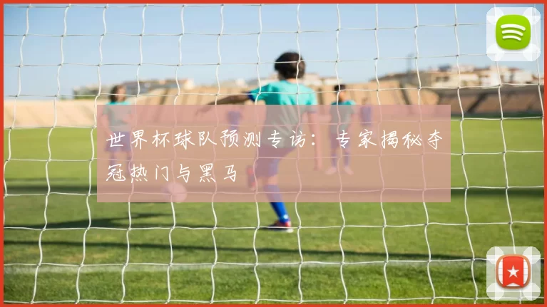 世界杯球队预测专访:专家揭秘夺冠热门与黑马