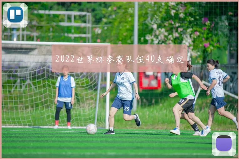 2022世界杯参赛队伍40支确定