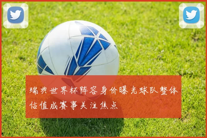 瑞典世界杯阵容身价曝光球队整体估值成赛事关注焦点
